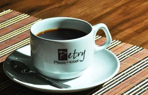 Petry Plaza Hotel