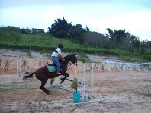 Bed & Breakfast Pousada Realiza