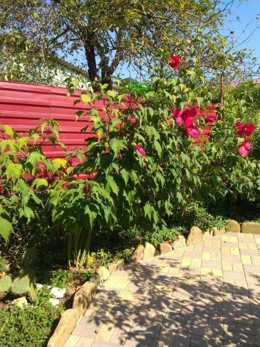 Hostal Guest House Adel