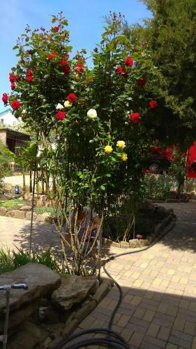 Hostal Guest House Adel