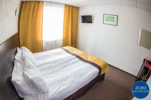 Aster Hotel-zuro