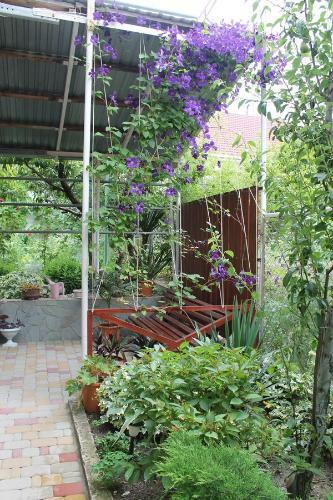 Hostal Na Viiyamsa 6 A