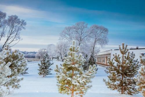 Eco-hotel Vetochka