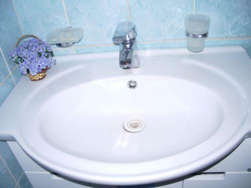 Apartment Petrogradsky