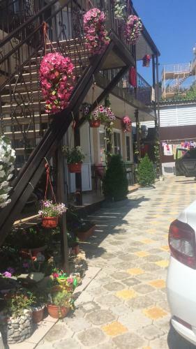 Hostal Guest House Elena
