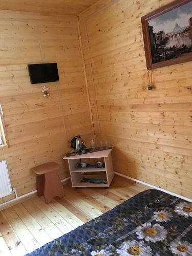Posada Ramanov Plyos Guest House
