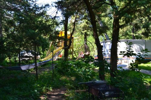 Lodge Altai