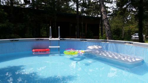 Lodge Altai