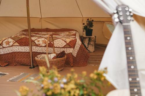 Glamping Zelenaya Tropa