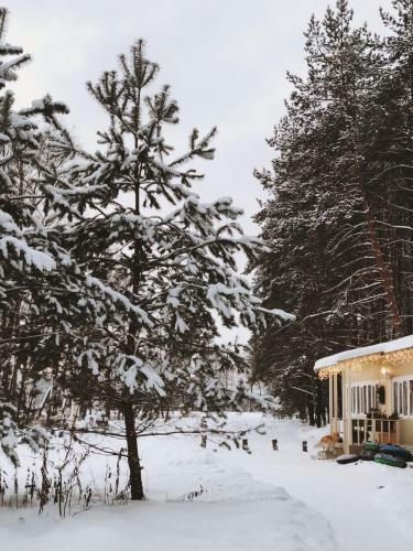 Glamping Zelenaya Tropa