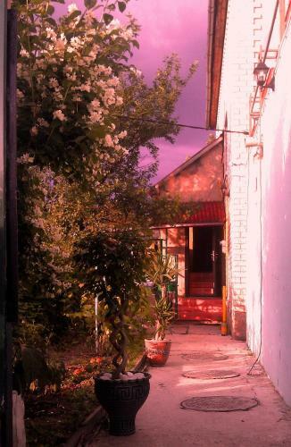 Hostal Valentina Guest House