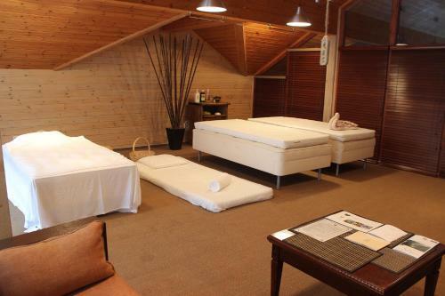 Park Hotel Tseleyevo