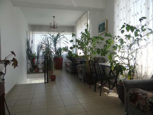 Hostal Alina