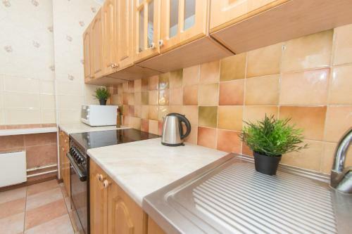 Apartment Vesta