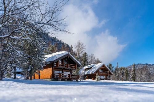 Hotel Altay Village Teletskoe