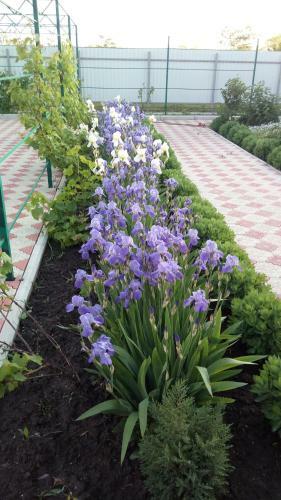 Hostal Guesthouse Ugra Na Primorskom