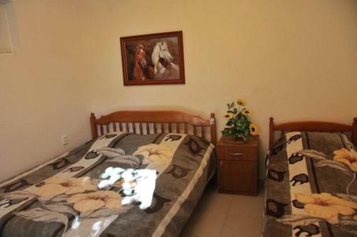 Hostal Guest House Magnolya