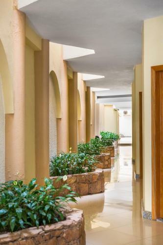 Hotel Porto N�polis