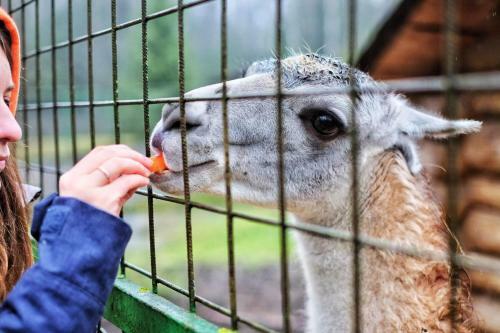 Agroturismo Seligerskoye Zaplavie