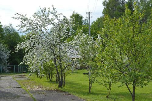 Camping Okhotnik I Rybolov