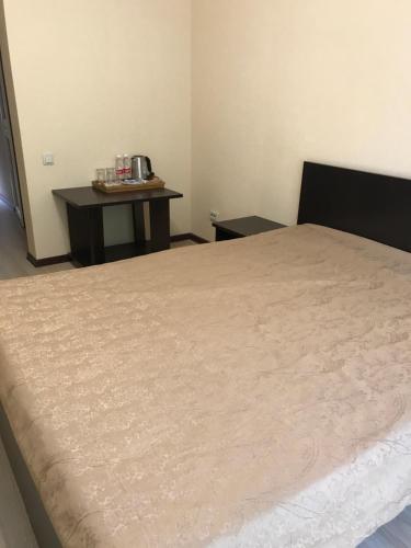 Hostal Platonov