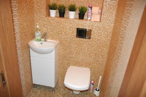 Apartment Sobornay 12