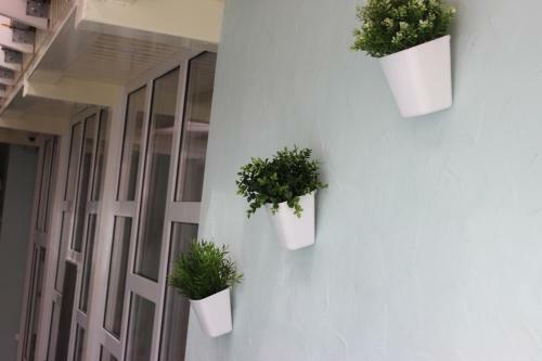 Hostal Provance Guest House