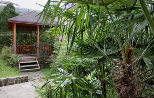 Hostal Guest House Na Lizy Chaikinoy 9/1