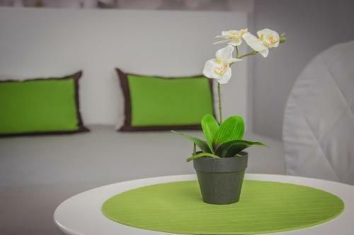 Aura Hotel-zuro