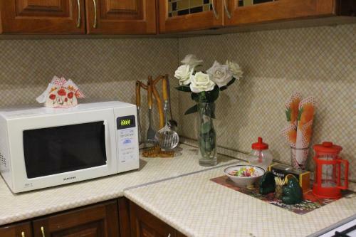 Hostal Guest-house U Fedota