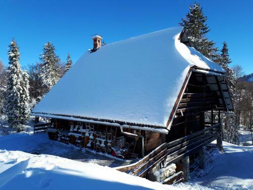 Chalet Zala