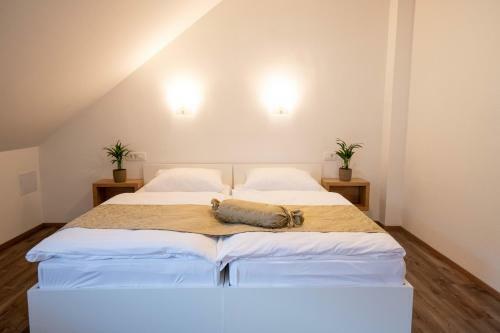 Hostal Guesthouse Stari Mayr