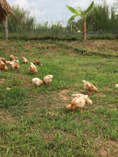 Agroturismo Coolliving Farmhouse Organic
