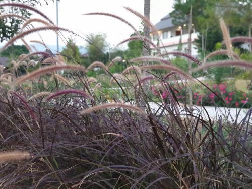Hotel Green Hill Resort Phurue