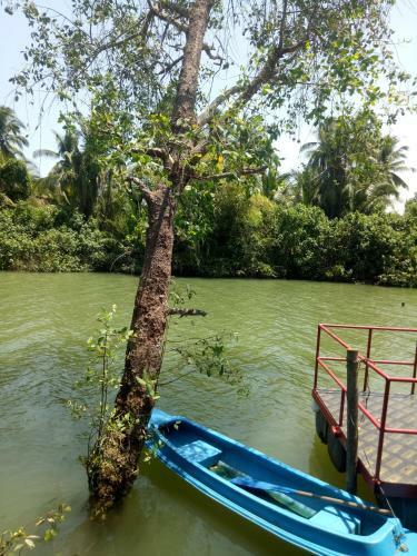 Riverside Palm Resort - Surat Thani