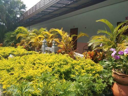 Hotel Bankanphu Resort