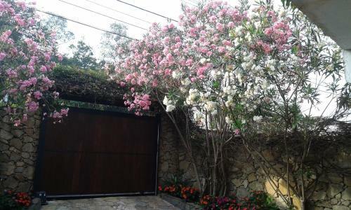 Hostal Pousada Santo Expedito
