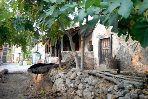 Bed & Breakfast Exclusive Boutique Hotel