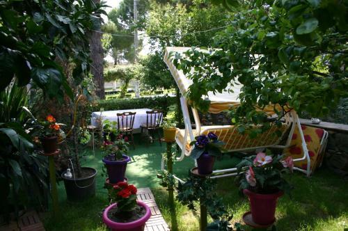 Hotel Pekcan Otel