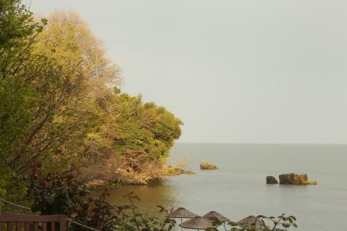 Hotel Sinop Antik Otel