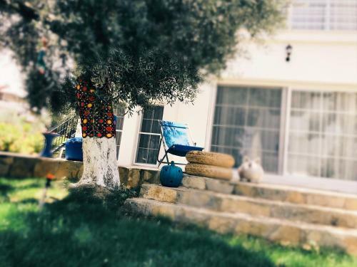Baharin Bahce Pension