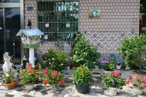 Lisin Village Homestay