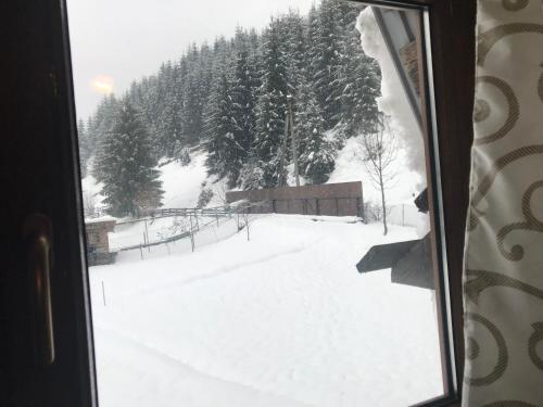 Hostal Shelest Vody
