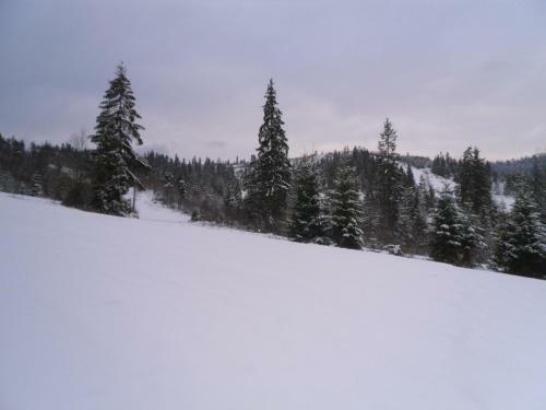 Hostal Guest House Magnat