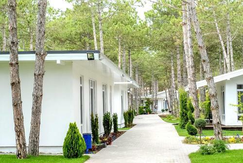Hotel Vital Park