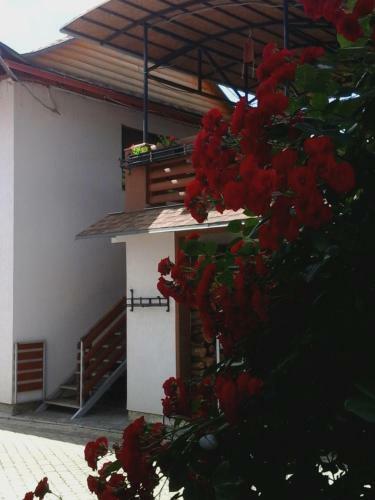 Hostal Hotel ??????? Leleka ? ???????