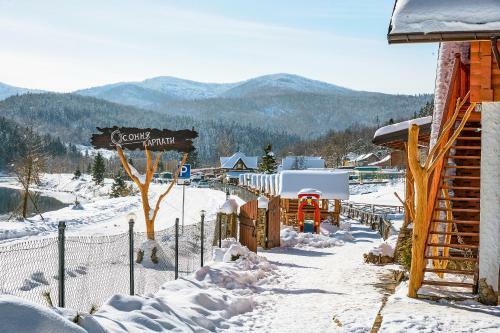 Hotel Osonnya Karpaty