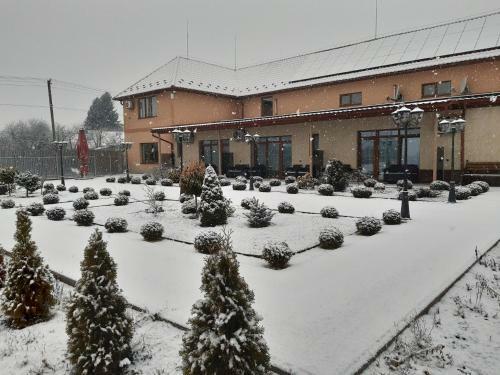 Hotel Ashad