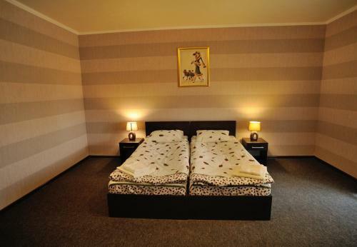 Motel Hotel Vulyk