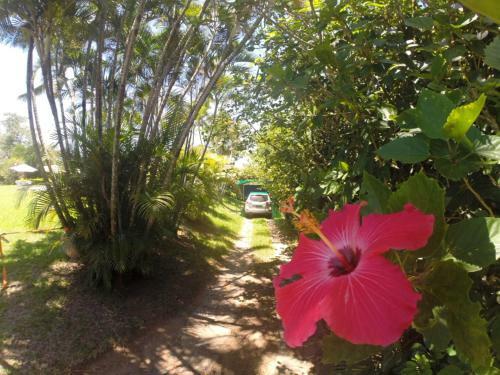 Hostal Pousada Sunshine